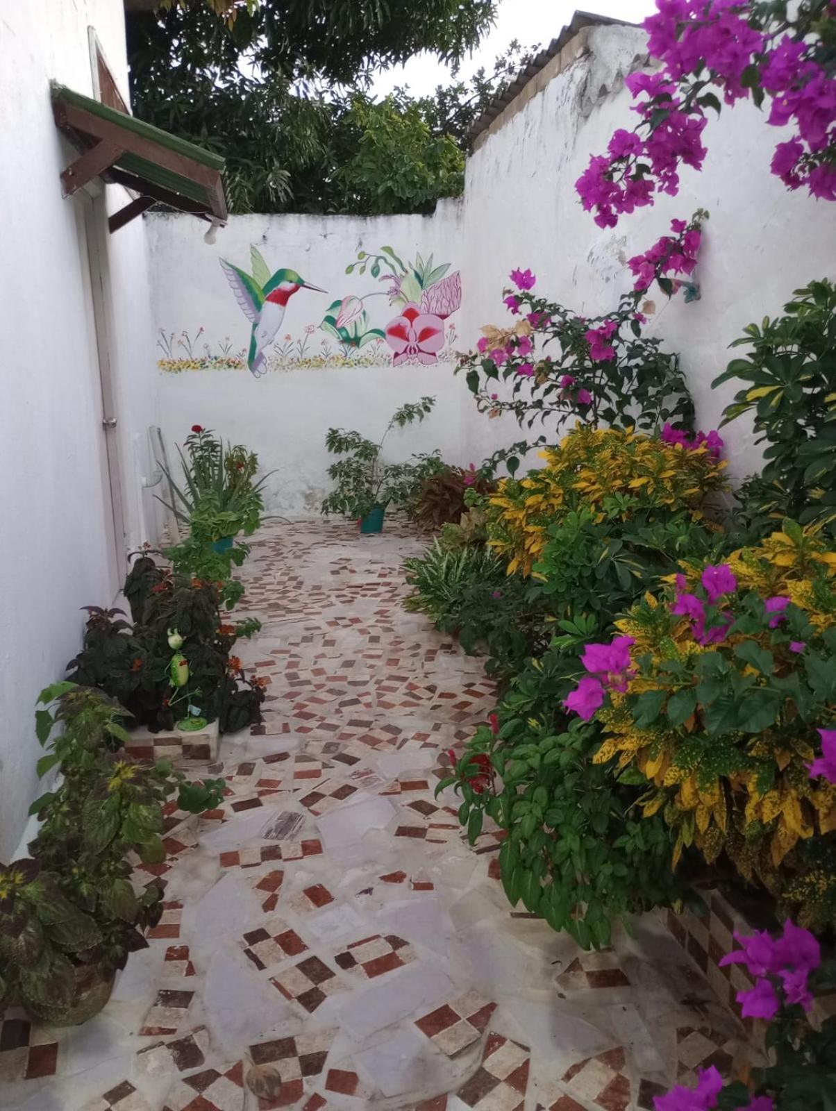 Hospedaje Casa Pachi En Cartagena De Indias Экстерьер фото